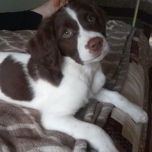 Meet your Posher, Posh